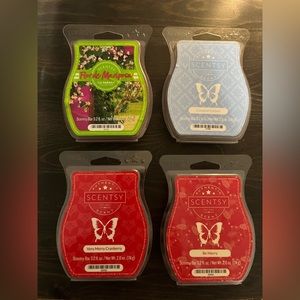 Four Scentsy Bars! Plus Extras 👏